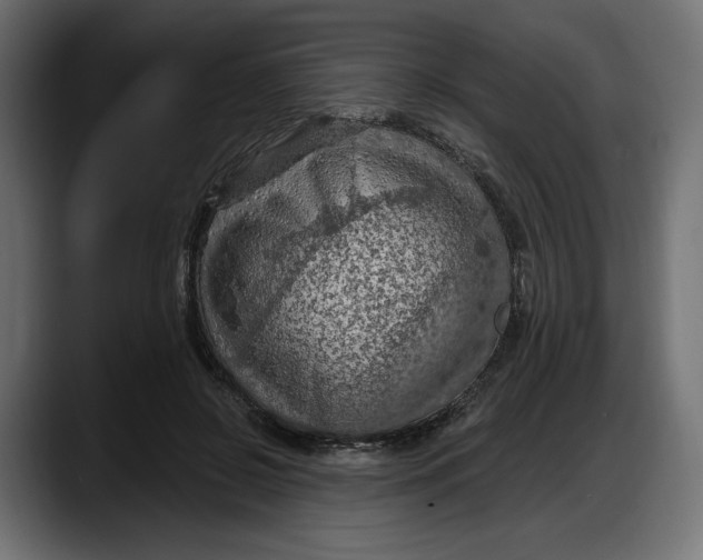 X0000087740550200705291015
