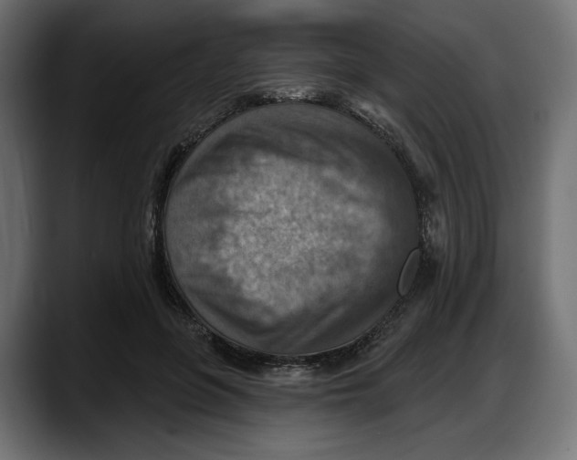 X0000087740551200705291015