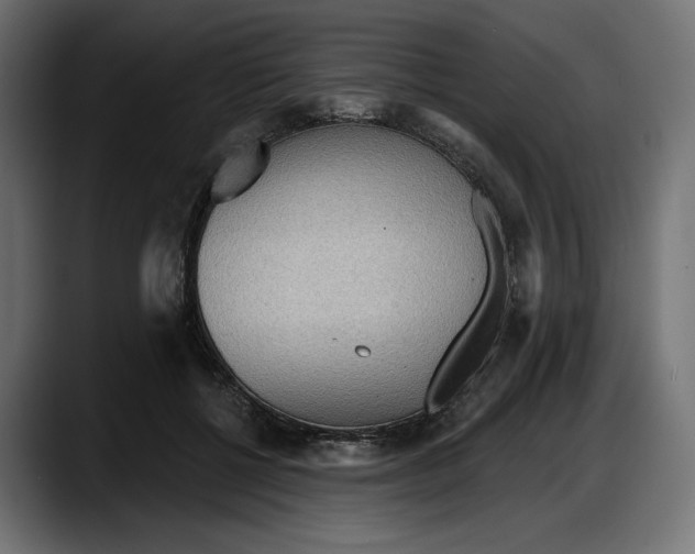 X0000087740552200705291015