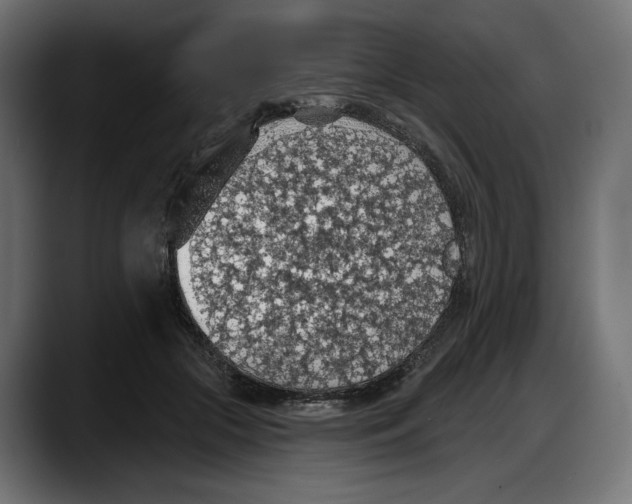 X0000087740553200705291015
