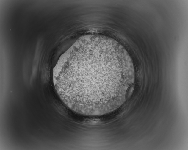 X0000087740554200705291015