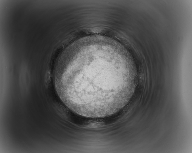 X0000087740555200705291015
