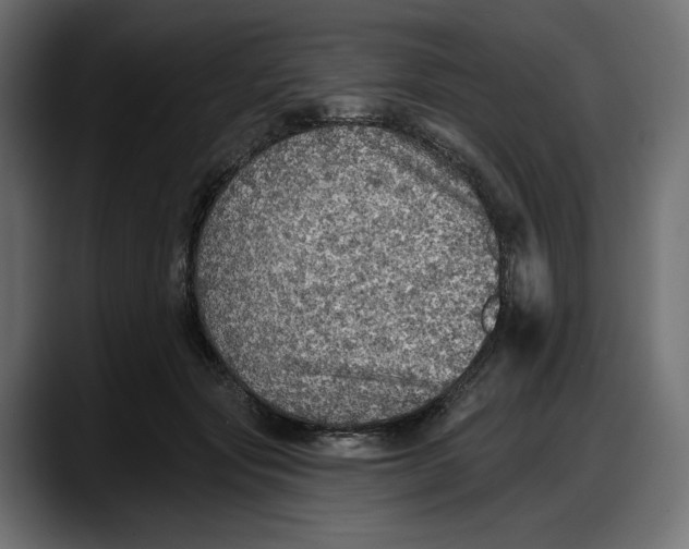 X0000087740557200705291015