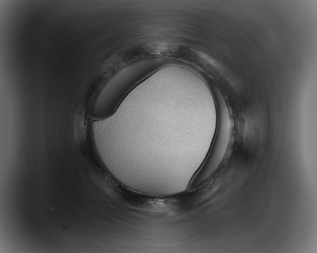 X0000087740558200705291015
