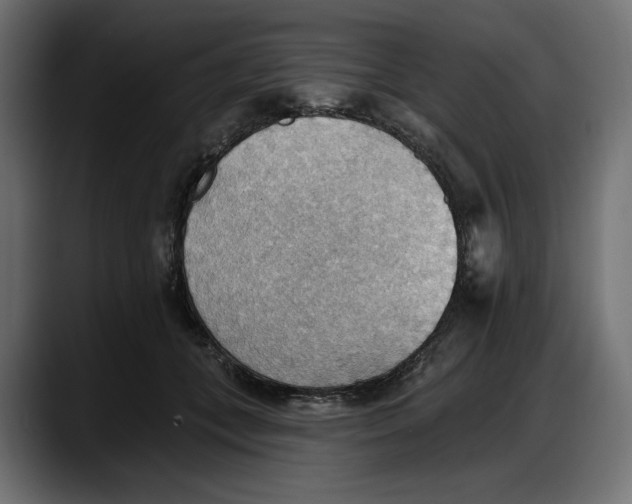 X0000087740559200705291015