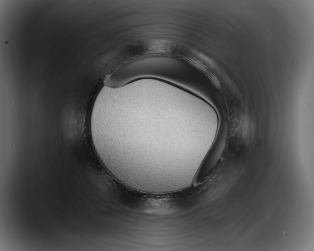 X0000087740560200705291015