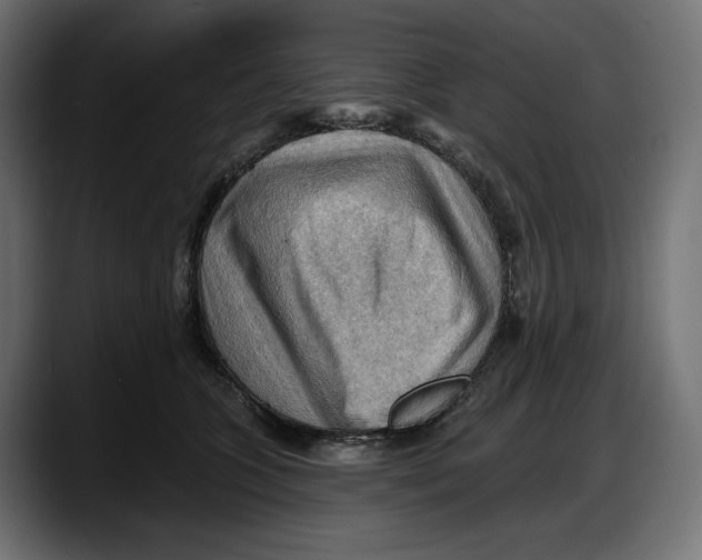 X0000087740563200705291015