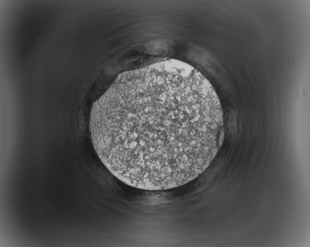 X0000087740569200705291015