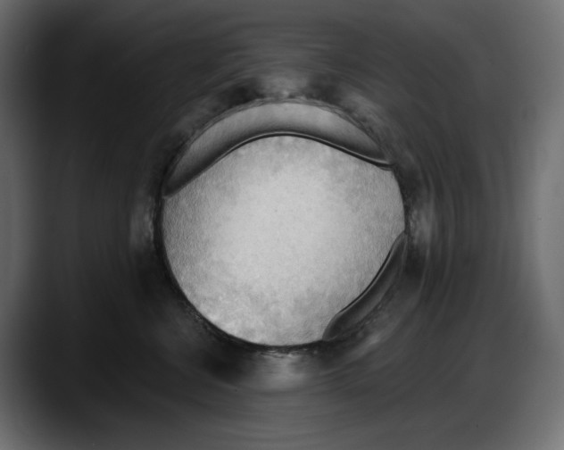 X0000087740570200705291015