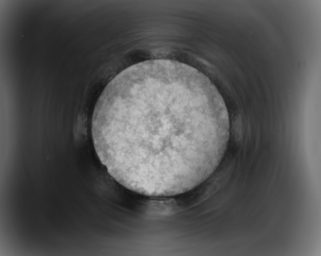 X0000087740571200705291015