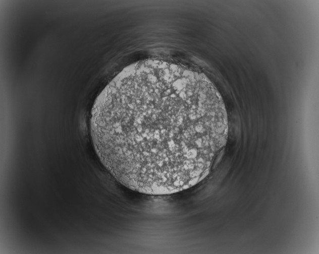 X0000087740573200705291015