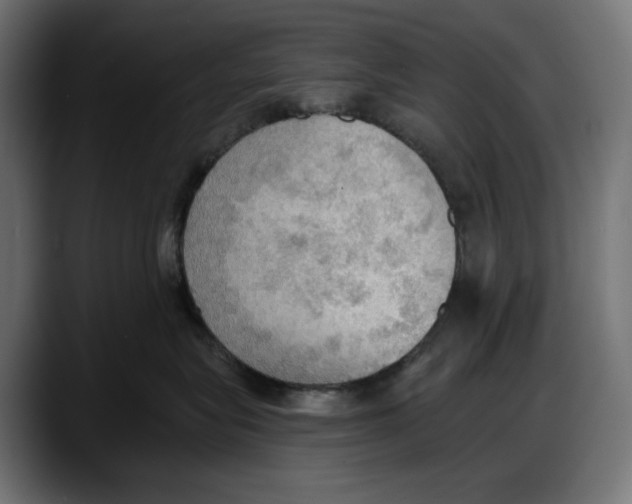 X0000087740575200705291015