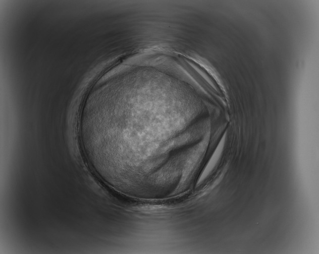 X0000087740577200705291015