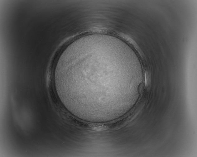 X0000087740579200705291015