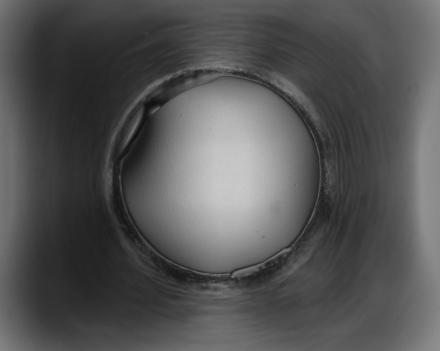 X0000087740580200705291015