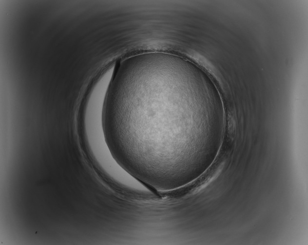 X0000087740581200705291015
