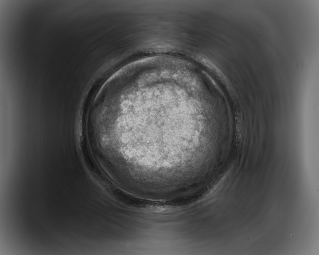 X0000087740582200705291015
