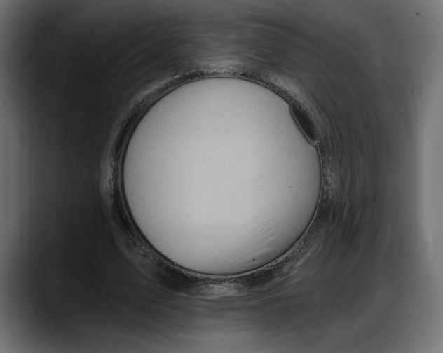 X0000087740583200705291015