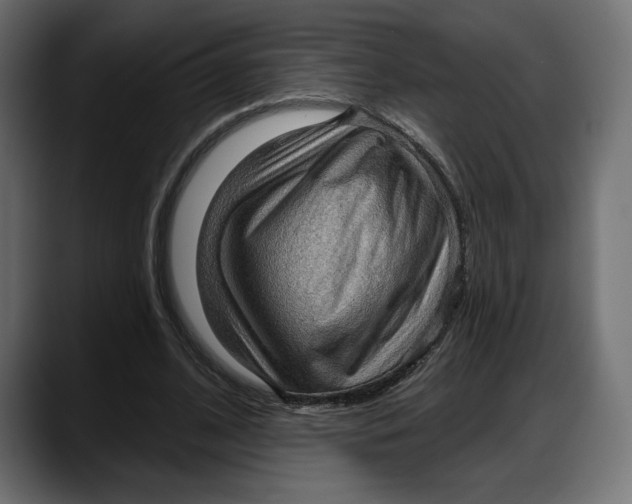X0000087740584200705291015