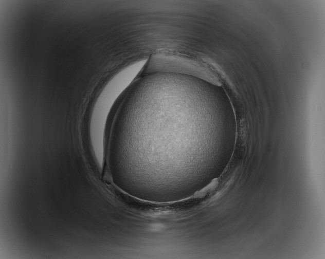X0000087740589200705291015