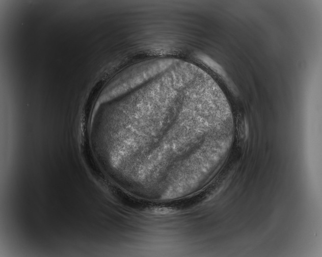 X0000087740590200705291015