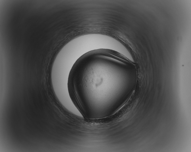 X0000087740593200705291015