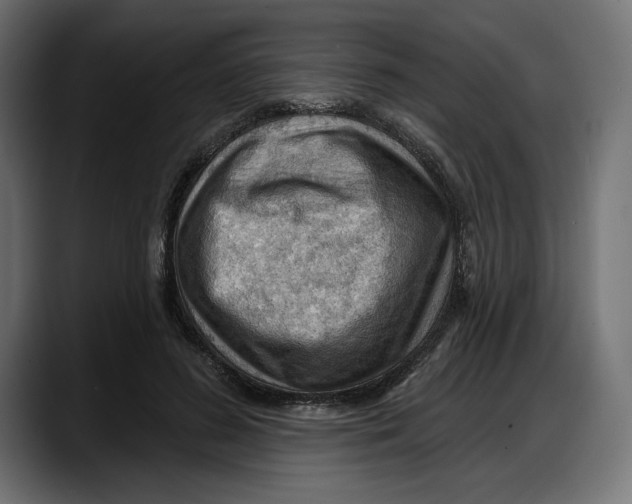 X0000087740596200705291014