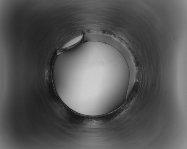 X0000087740597200705291014