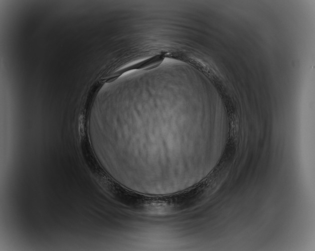 X0000087740598200705291014