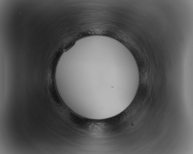 X0000087740599200705291014