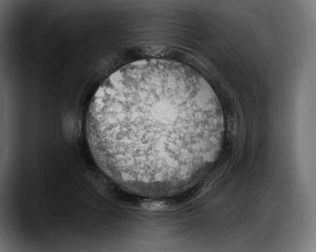 X0000087740602200705291014