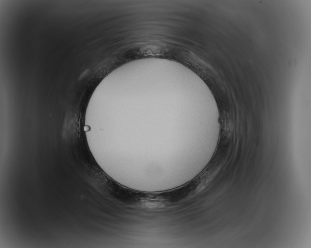 X0000087740603200705291014
