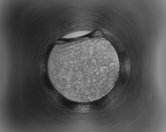X0000087740606200705291014