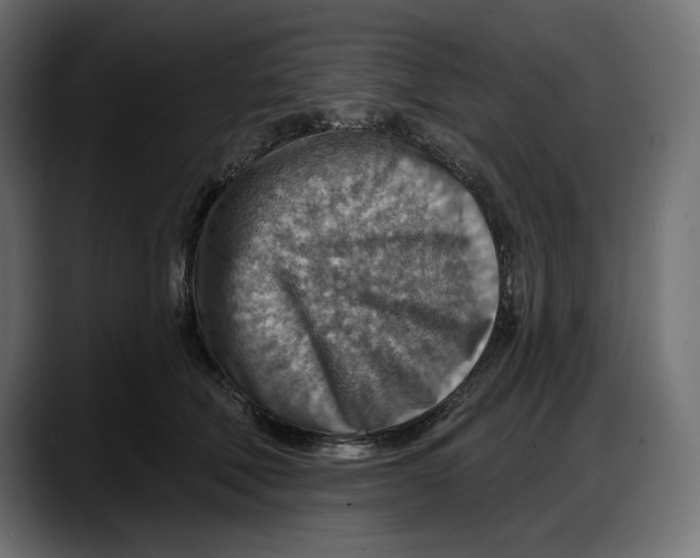 X0000087740610200705291014