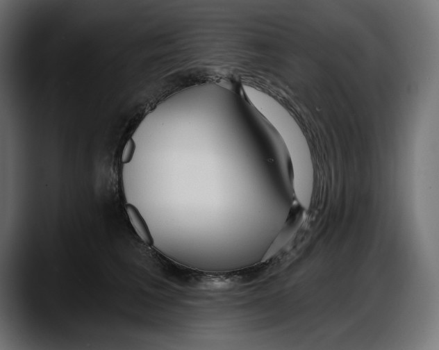 X0000087740613200705291014
