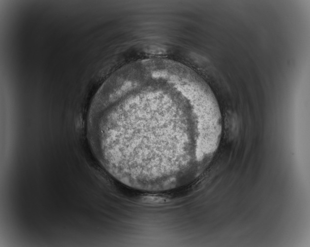 X0000087740614200705291014