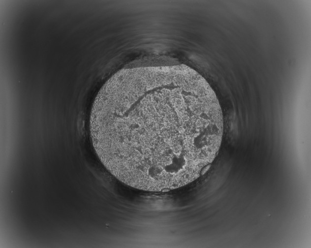 X0000087740615200705291014