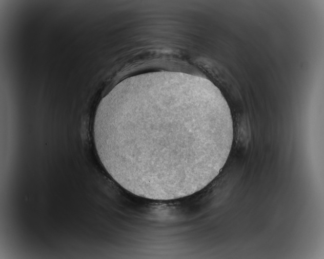 X0000087740616200705291014