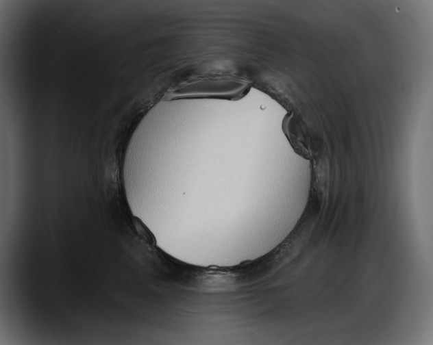 X0000087740617200705291014