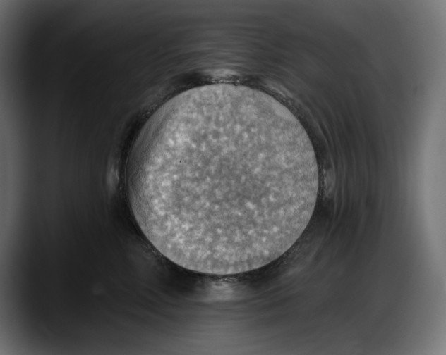 X0000087740618200705291014