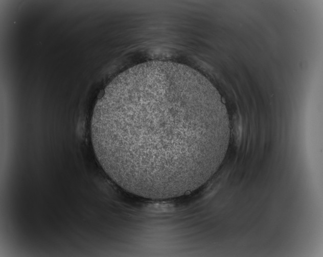 X0000087740619200705291014