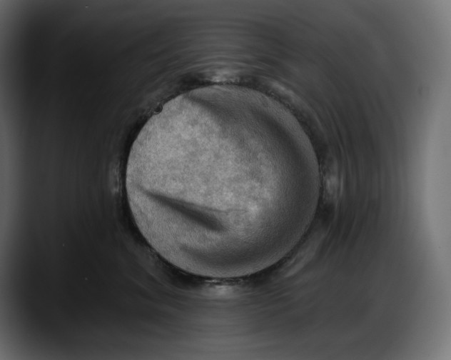 X0000087740620200705291014