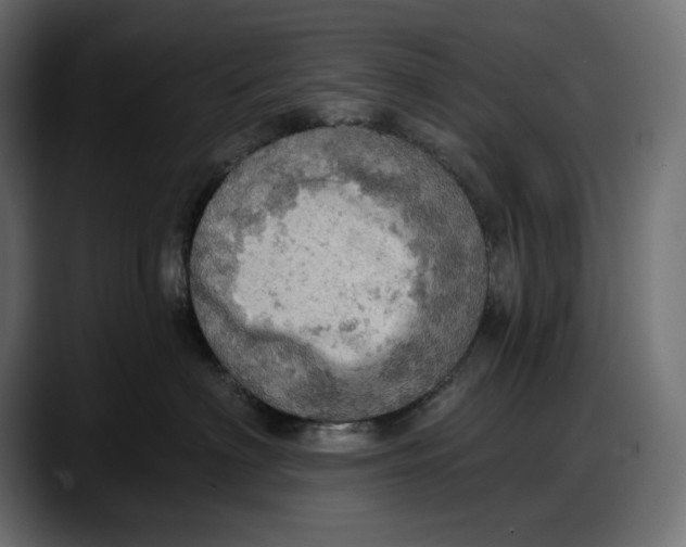 X0000087740622200705291014