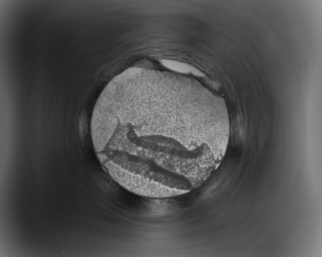 X0000087740623200705291014
