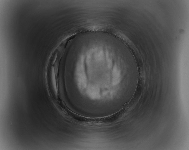 X0000087740626200705291013