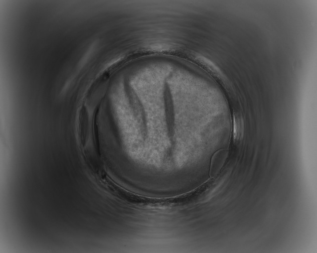 X0000087740627200705291013