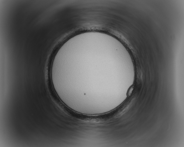 X0000087740629200705291013
