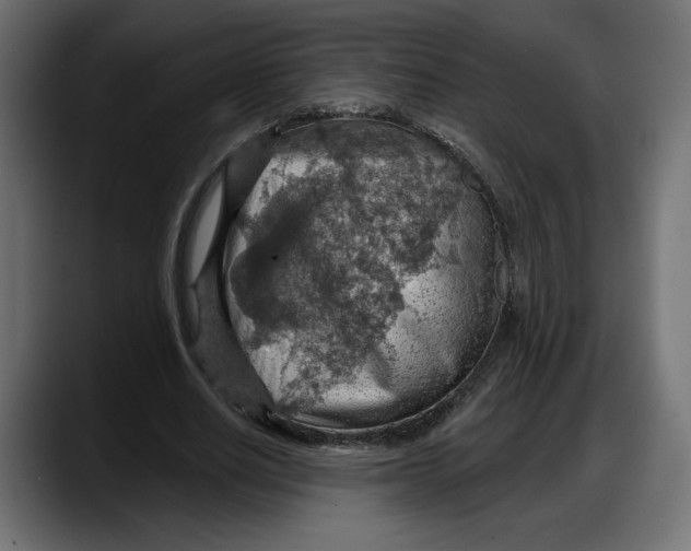 X0000087740630200705291013