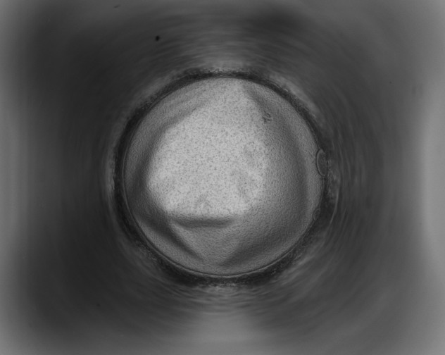 X0000087740631200705291013