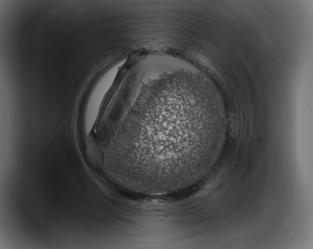 X0000087740634200705291013